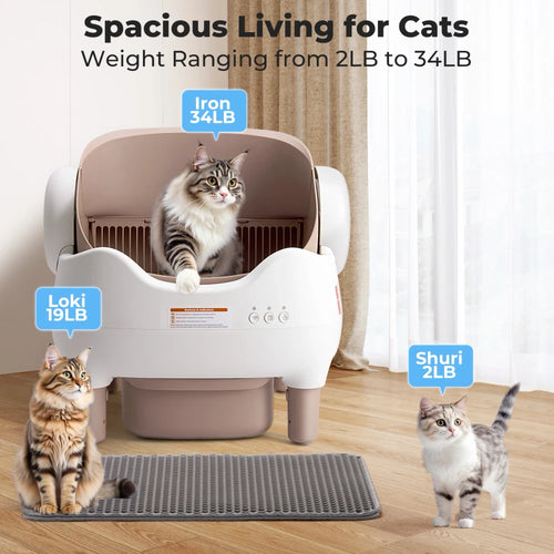 Automatic Self-Cleaning Litter Box